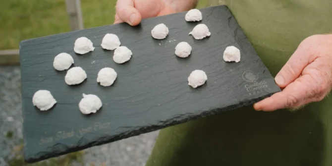 Goats cheese tasting on farm walk-Clare-Ireland