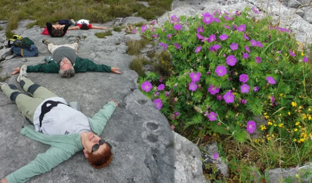 Stone & Stories Walk- Burren-Clare-Ireland
