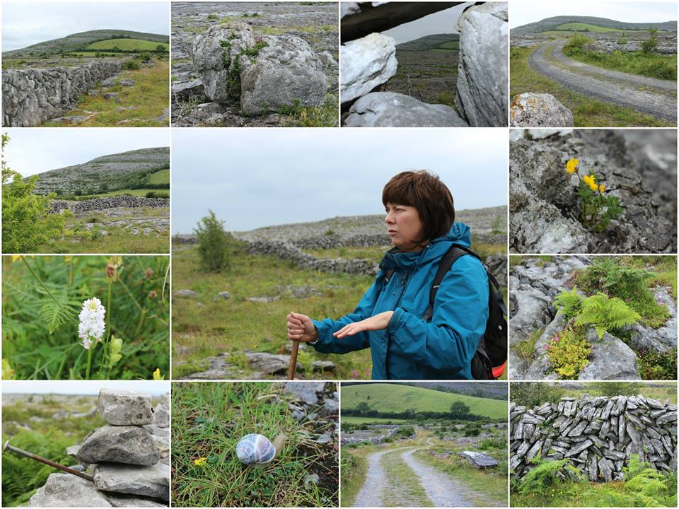Walk the Mountains, Visit a Goat Farm & Taste the Cheese Private Experience. Burren, Co Clare. Guided. 4 hours.