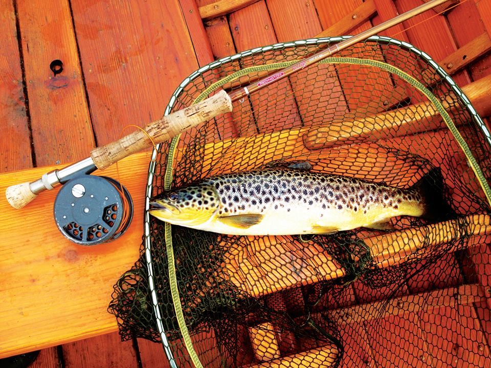Wild brown trout fishing on Lough Corrib. Galway. Private guided. French/Eng
