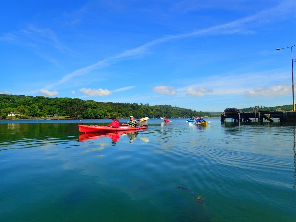 Family kayaking adventure. West Cork. Guided.