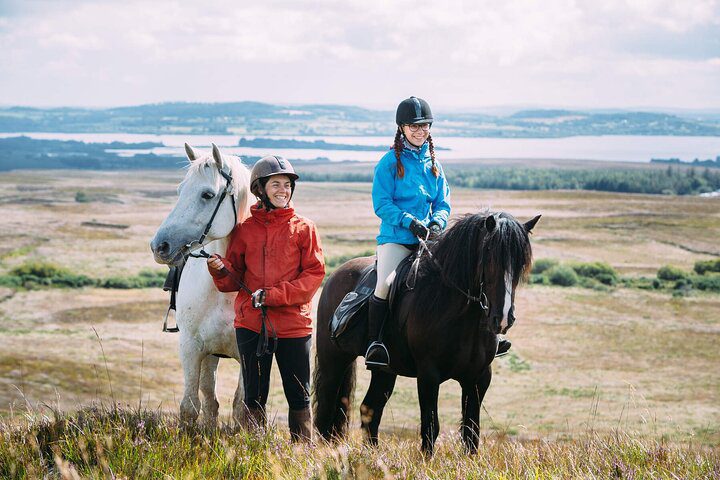 Beach & countryside horse riding. Mayo. Guided.