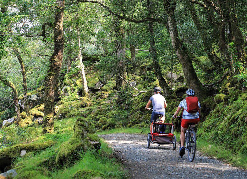 Electric Biking in Glenveagh National Park. Donegal. Self-Guided. Half Day.