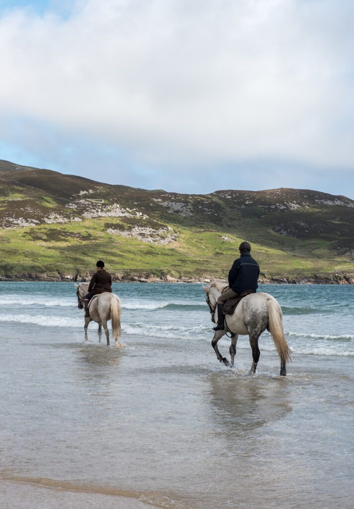 Countryside & beach horse ride to Selerna strand. Galway. Private guided. 1½ hours.