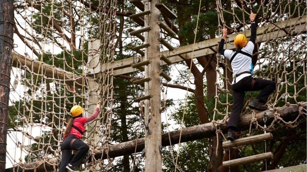 High ropes course challenge. Galway. Guided.