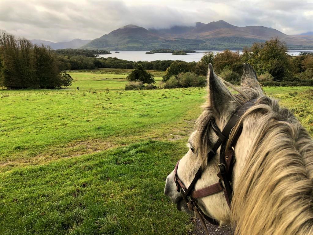 Killarney National Park horseback ride. Kerry. Guided. 2hrs