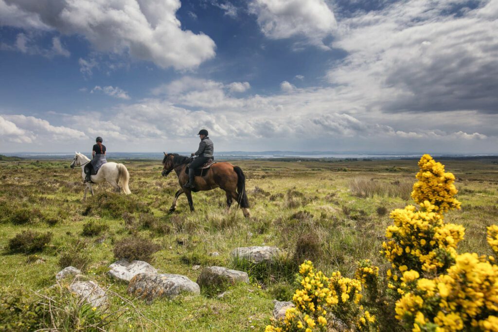 Horse riding in the Burren. Clare. Guided.