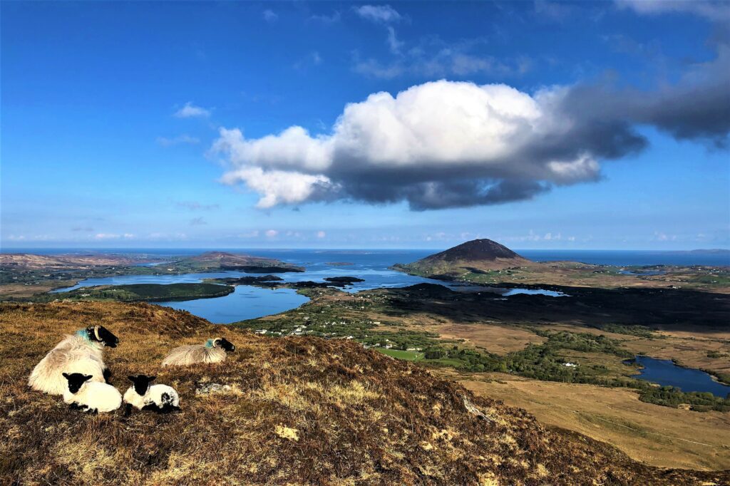 Hike in Connemara National Park. Galway. Private guided.