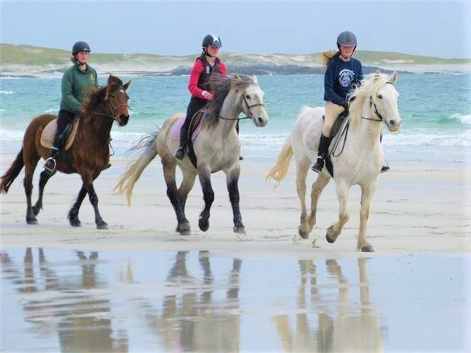 Beach horse riding in Connemara. Galway. Guided in English, French, German. 1 & 2 hours.