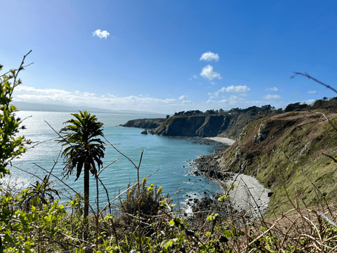 howth-safari-hiking-tour-secluded-coves-and-dramatic-cliffs-overlooking-the-sea-dublin-ireland