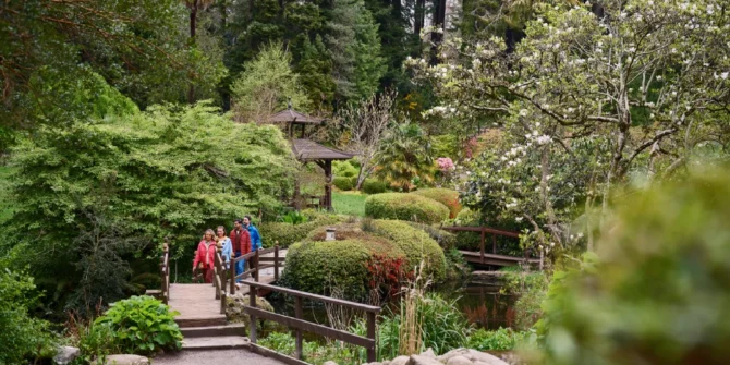 Walking Powerscourt Estate, House and Gardens, Enniskerry, County Wicklow Ireland med res