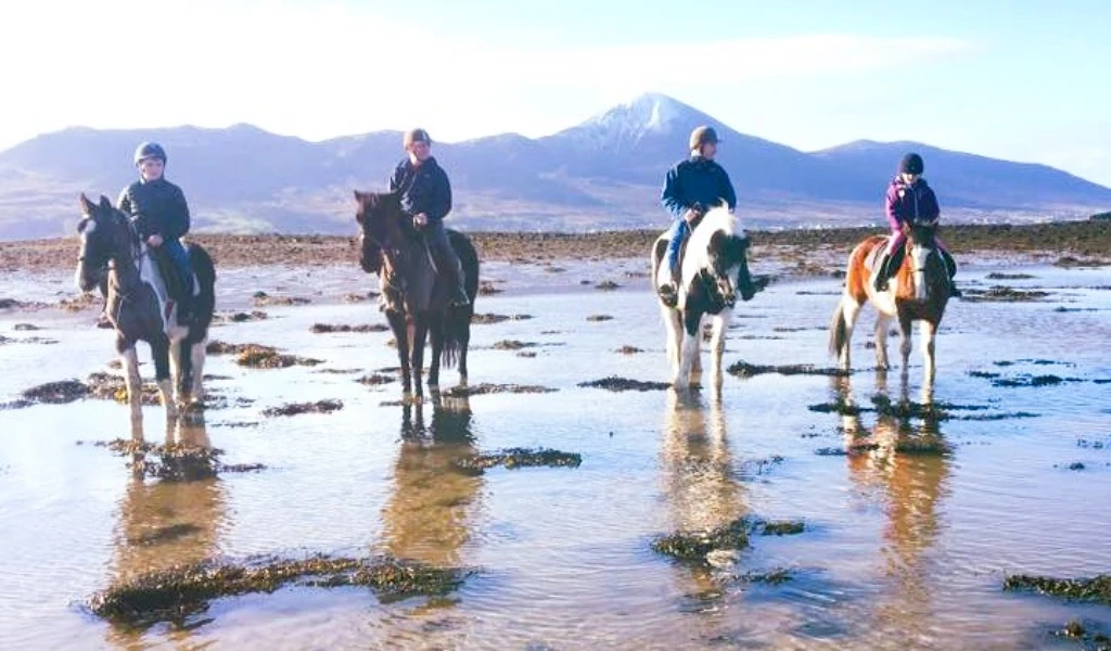 Beach horse riding Clew Bay looking at Croagh Patrick County Mayo Ireland 3