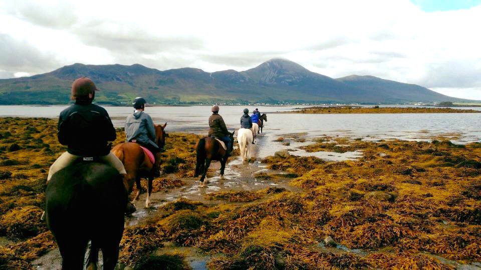 Beach horse riding Clew Bay looking at Croagh Patrick County Mayo Ireland 4